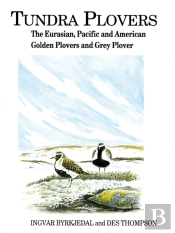 Tundra Plovers