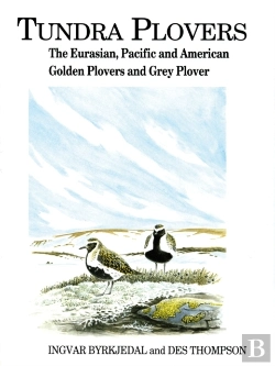 Bertrand.pt - Tundra Plovers