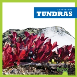Bertrand.pt - Tundras