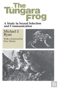 Bertrand.pt - Tungara Frog