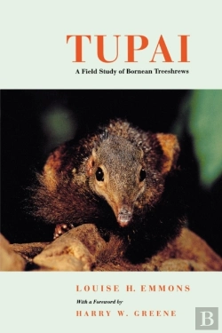Bertrand.pt - Tupai