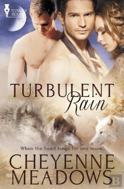 Bertrand.pt - Turbulent Rain