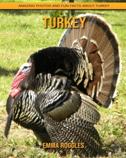 Bertrand.pt - Turkey