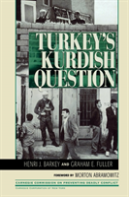 Turkey'S Kurdish Question