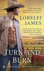 Turn And Burn