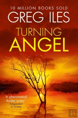 Bertrand.pt - Turning Angel