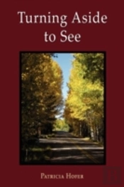 Turning Aside To See