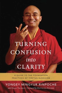 Bertrand.pt - Turning Confusion Into Clarity