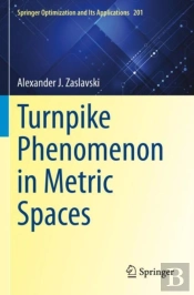 Turnpike Phenomenon In Metric Spaces