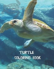 Turtle Coloring Book