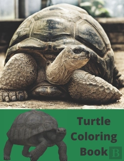 Bertrand.pt - Turtle Coloring Book