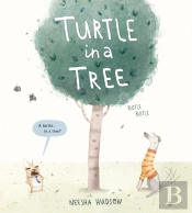 Turtle In A Tree
