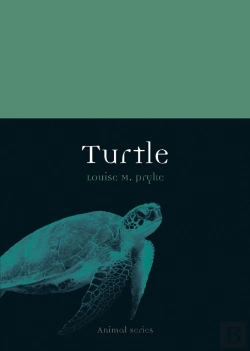Bertrand.pt - Turtle