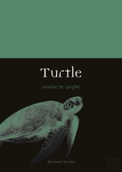 Bertrand.pt - Turtle