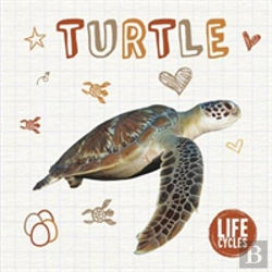 Bertrand.pt - Turtle