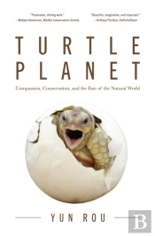 Turtle Planet