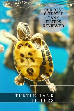 Bertrand.pt - Turtle Tank Filters