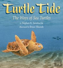 Turtle Tide