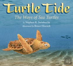 Bertrand.pt - Turtle Tide