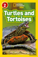 Turtles And Tortoises