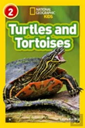 Turtles And Tortoises