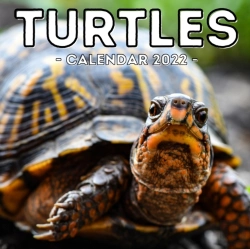 Bertrand.pt - Turtles Calendar 2022