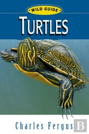 Turtles