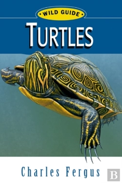 Bertrand.pt - Turtles