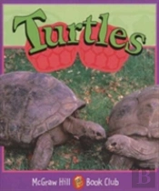Turtles