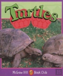Bertrand.pt - Turtles