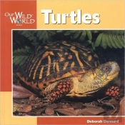 Turtles