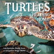 Turtles Heading Home!