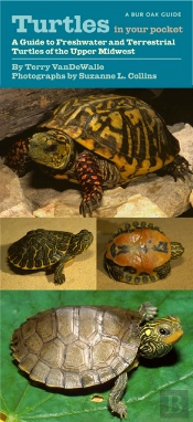 Turtles In Your Pocket
