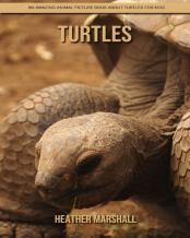 Turtles