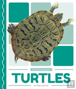 Bertrand.pt - Turtles