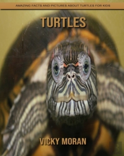Bertrand.pt - Turtles