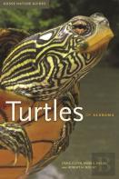 Turtles Of Alabama