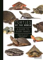 Turtles Of The World