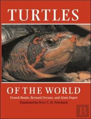 Turtles Of The World