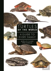Turtles Of The World