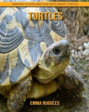 Turtles