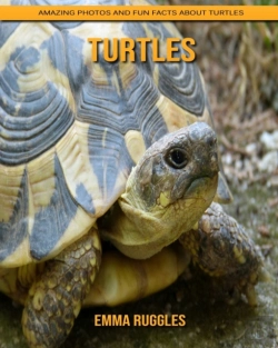 Bertrand.pt - Turtles