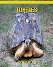 Turtles