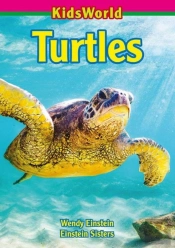 Turtles
