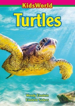 Bertrand.pt - Turtles