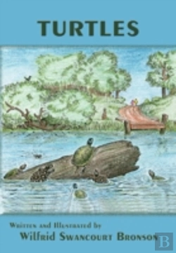 Bertrand.pt - Turtles