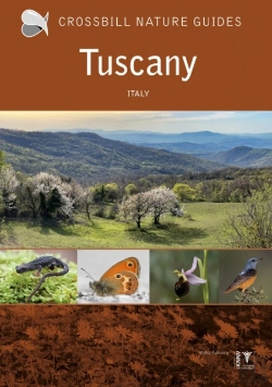 Bertrand.pt - Tuscany