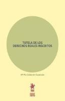 Tutela De Los Derechos Reales Inscritos