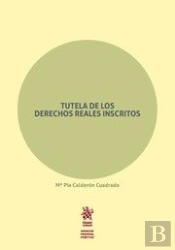 Tutela De Los Derechos Reales Inscritos