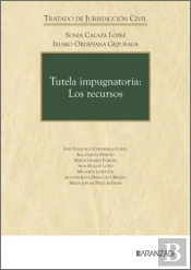 Tutela Impugnatoria: Los Recursos